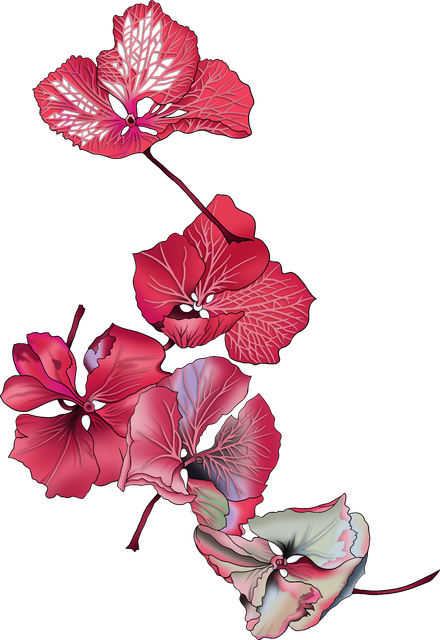 9ef2852a31a548ba47b887bca6e7e521.png