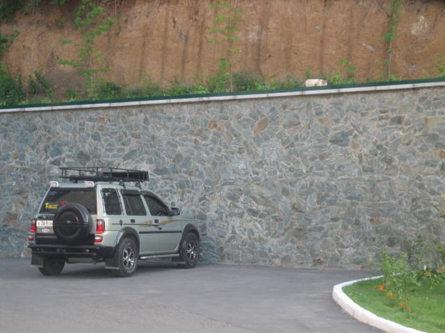 https://i.ibb.co/HpPdwcB0/Jg-Ih-S.jpg