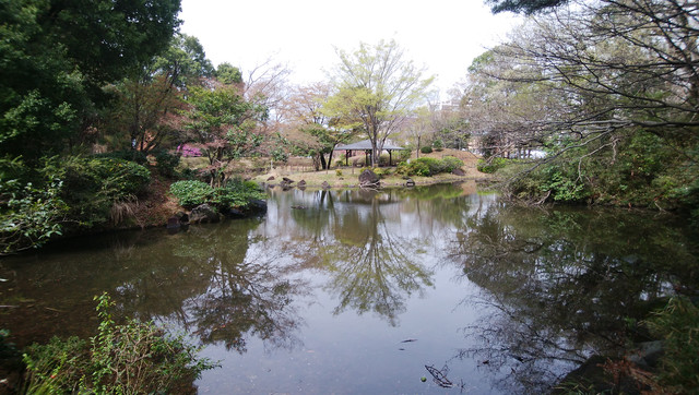 DSC-0075.jpg
