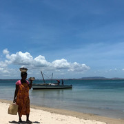 IMG-3341