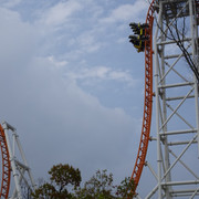 DSC08981