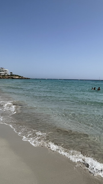 IMG-1319