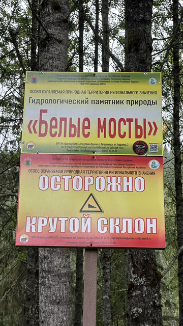 IMG 4448.jpg