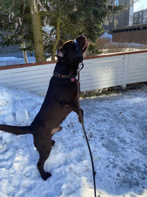 939-E09-C8-0-C16-41-D9-927-C-05-B797-D34