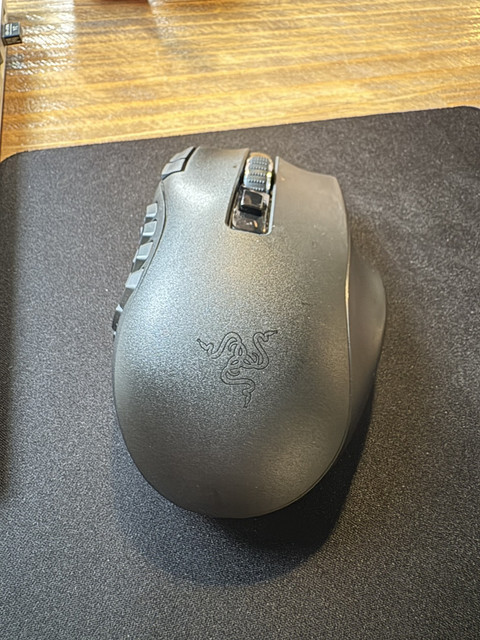 Naga1
