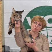 DSC-5203