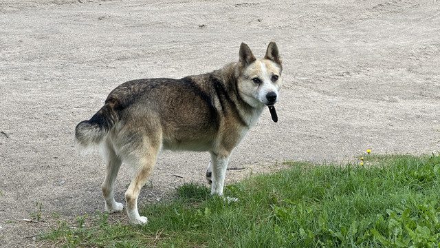 IMG 5345.jpg