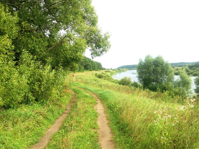IMG-4050.jpg