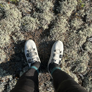 IMG 5412