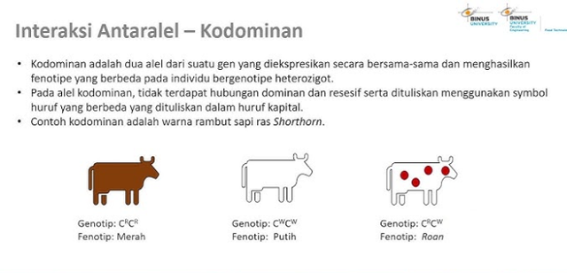 Genotipe Fenotipe Ternak.png