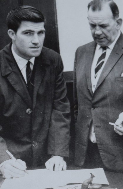 BERTIE7-669x1024