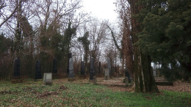 IMG-20201227-142011.jpg