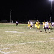 IMG-6597