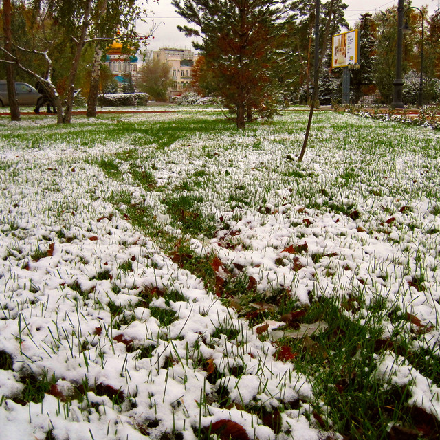 IMG-3551.jpg