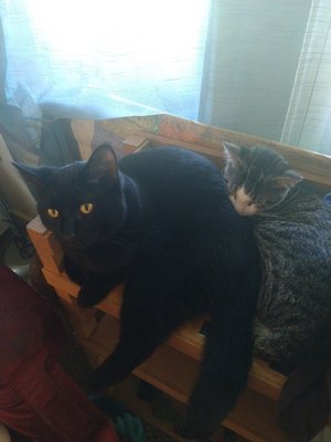 Big brother