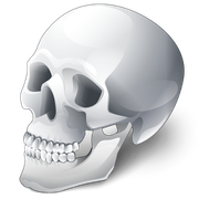 skull