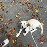 IMG-0886