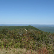 IMG 0928