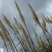 2012-10-09-12
