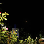 100c010088m