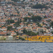 IMG-6736