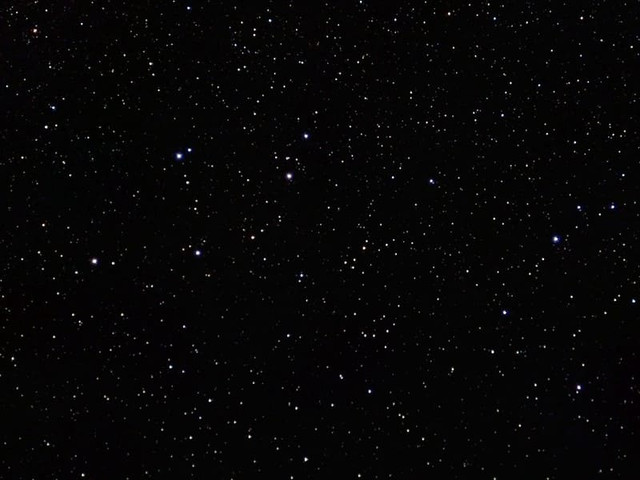 cel-1.jpg