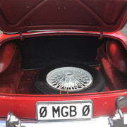 IMG-0019
