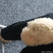 IMG-8842