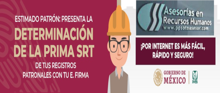 #PrimaRT2019