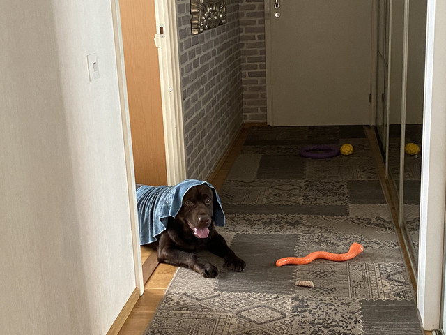 BF8-EC310-DF16-4-ED9-AD85-199-BB3-FA7-C7