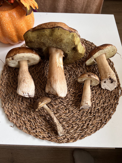 IMG-4682