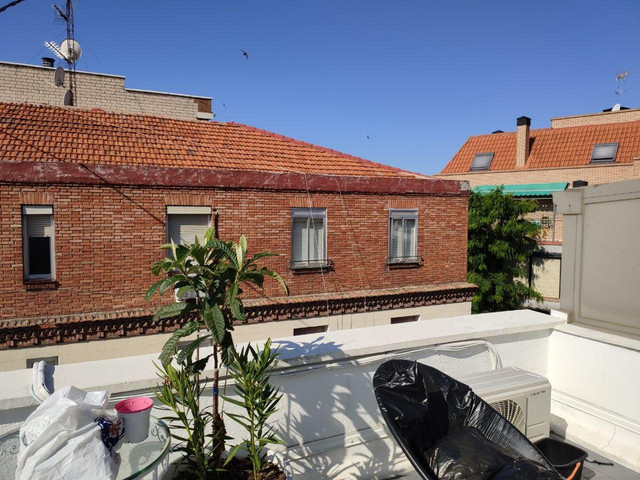 terraza2