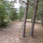 IMG-0989