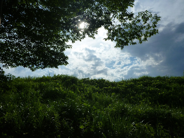 P1330041