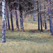DSC03611-4
