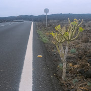 DSCF9726