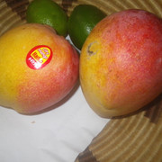 IMGP0491