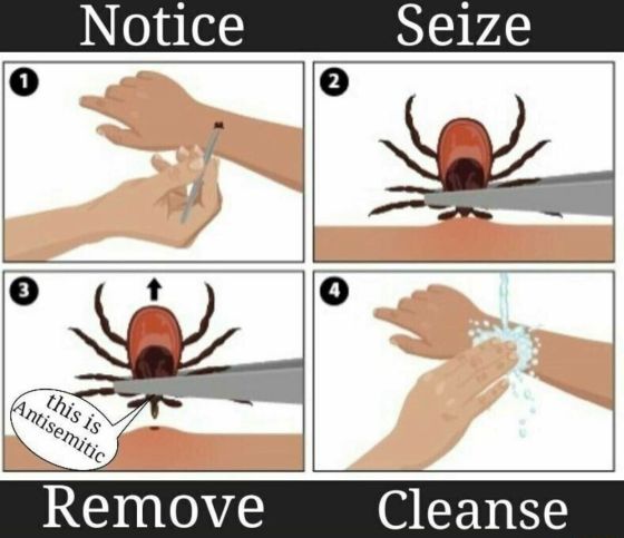 [Image: Jewish-spider.jpg]