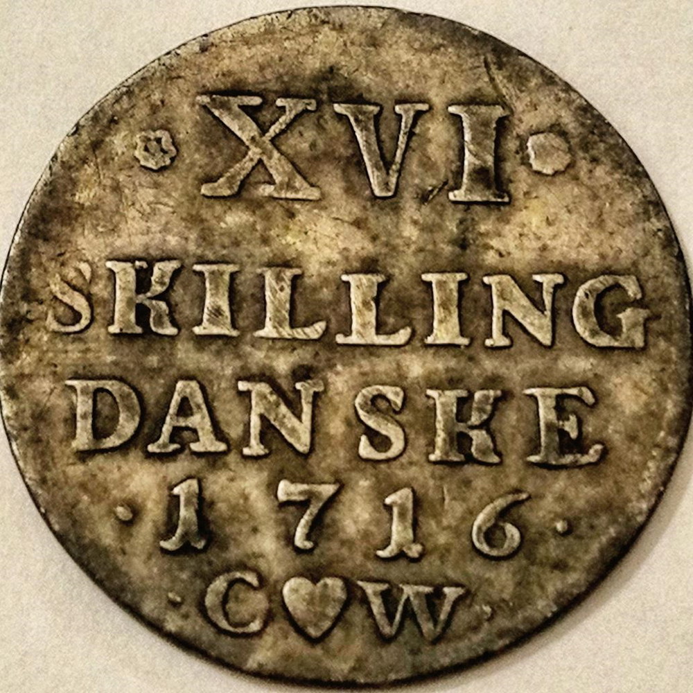 1716-doe.jpg