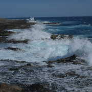 DSCF8202