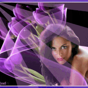 image.gif