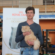 IMG 0726