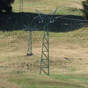 IMG 1689