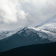 IPB Image