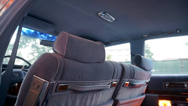 DSC08830.jpg