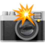 camera-with-flash-1f4f8