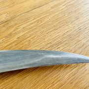 IMG-E1501