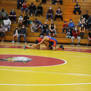 IMG-0290