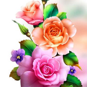 c50738d0871c91db5fcbd53e4bf18bc8