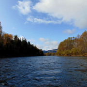 DSC04131